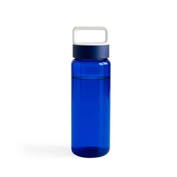 TOMATODO SPORTIVA 700 ML