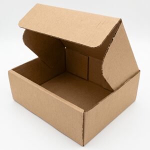 CAJA CARTON KRAFT EMPRENDE 25X19X9 CM