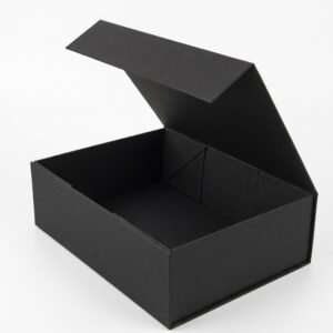 CAJA CARTON NOIR 26X24X9.5 CM